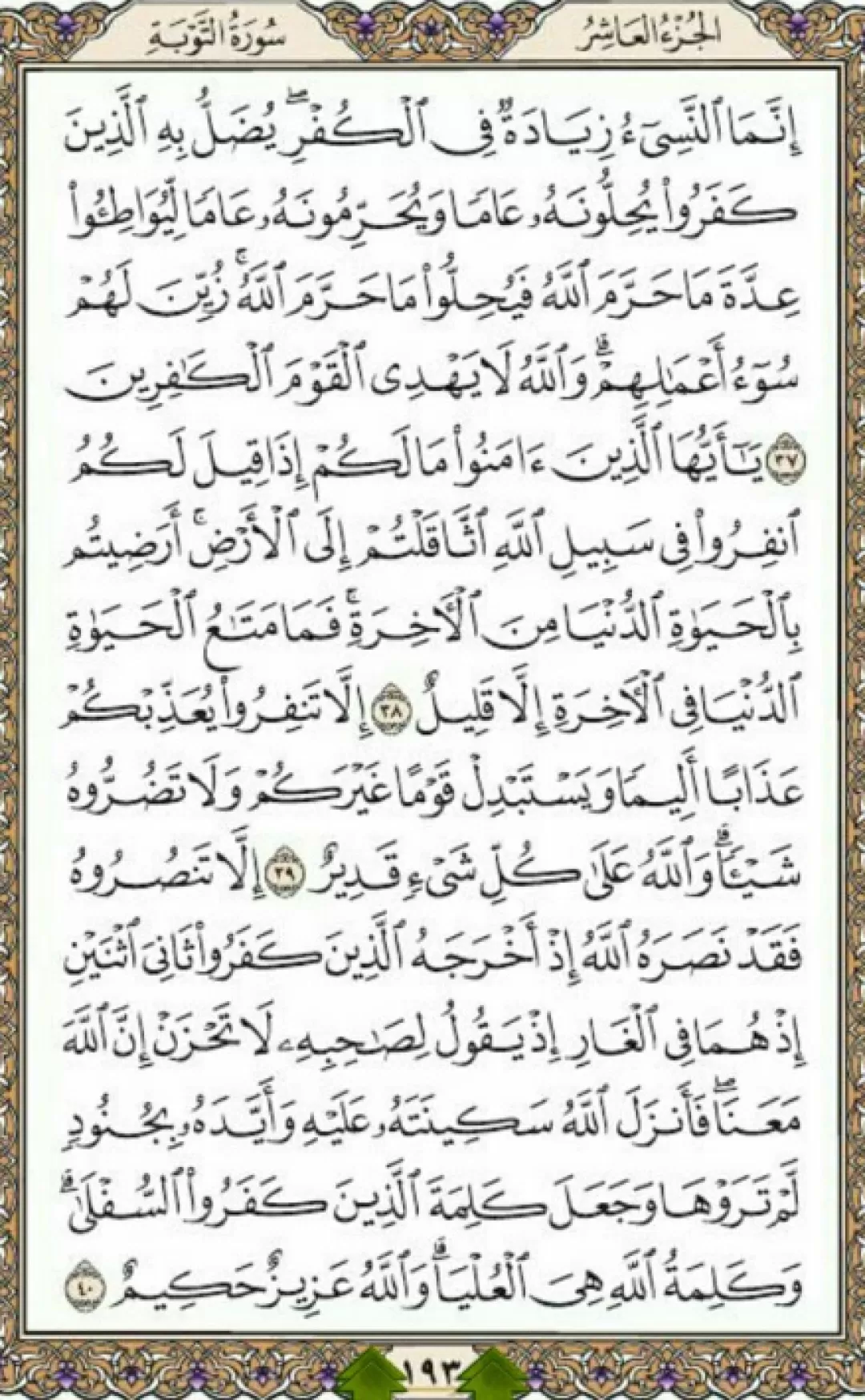 یک صفحه با شمیم نور‌بخش قرآن