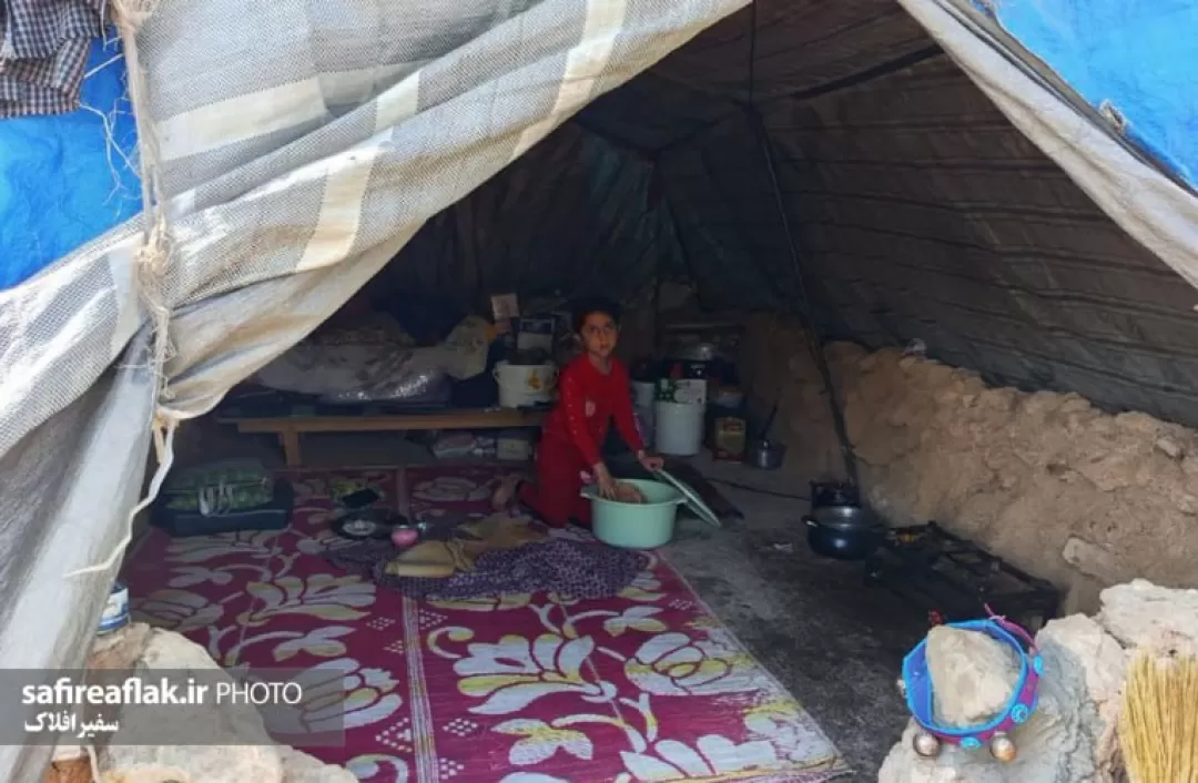 زندگی زیبای عشایر در پلدختر به روایت تصاویر