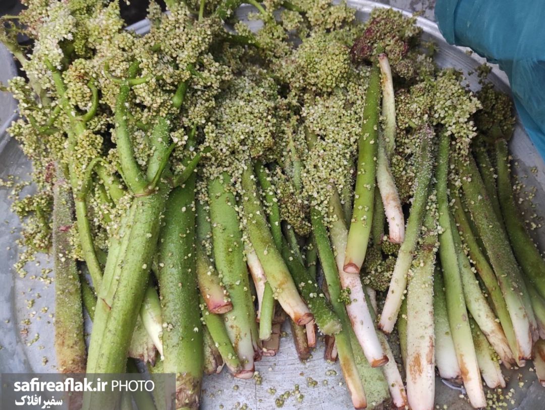 عطر گیاهان محلی در بازار لرستان پیچید