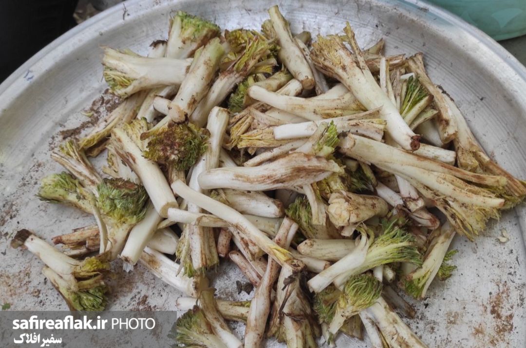 عطر گیاهان محلی در بازار لرستان پیچید