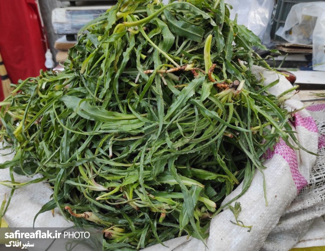 عطر گیاهان محلی در بازار لرستان پیچید