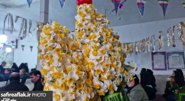 پلدختر میزبان جشنواره گل نرگس شد