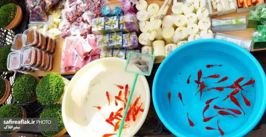 بازار ماهی قرمز عید در خرم‌آباد به‌روایت تصویر