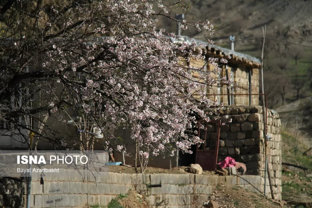 بهار چشم‌نواز منطقه شاهیوند
