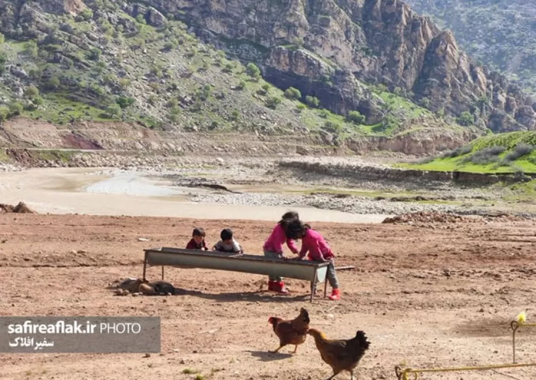 زندگی زیبای عشایر در پلدختر به روایت تصاویر